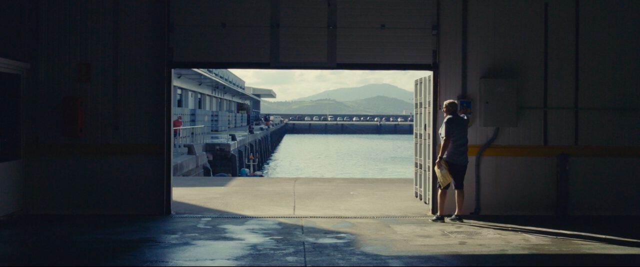 MSC_IMPLICATE_1.Elena Molina